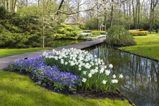 Lisse；荷兰库肯霍夫花园；