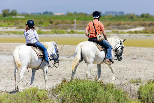 騎馬；公園區(qū)域de Camargue；普羅旺斯；法國(guó)