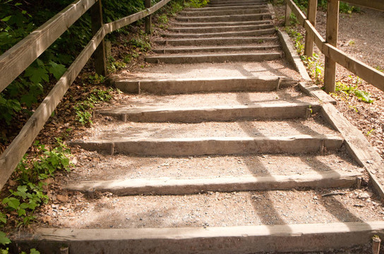 樓梯的自然公園