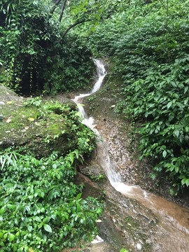 山澗溪流