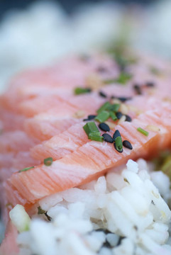 日本食品Shashimi rice