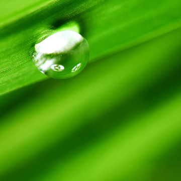 大水滴