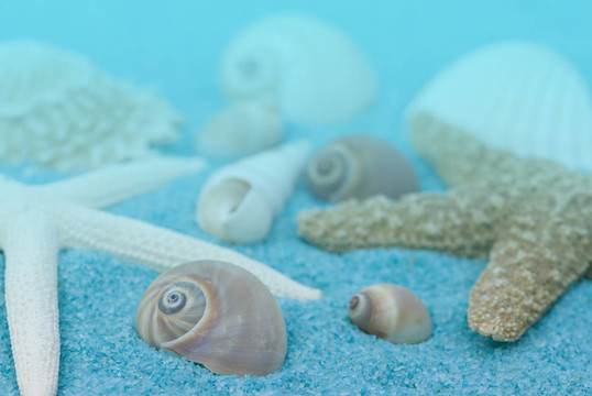海灘收集
