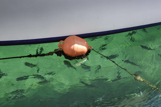 船；浮標(biāo)和魚(yú)