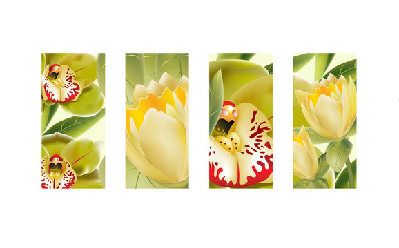 郁金香蘭花