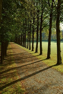 秋天在一個(gè)公園的大道