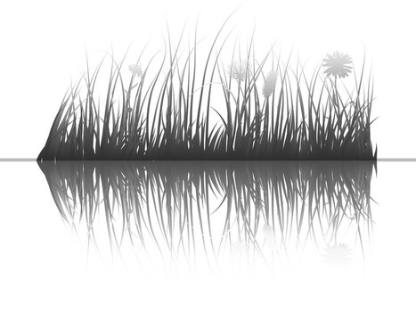 草水