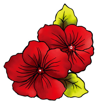紅色的花