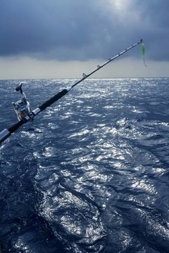 釣魚船捕魚，在鹽水