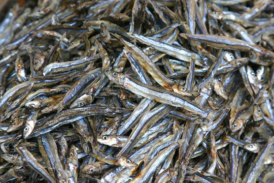 干魚在香港當(dāng)?shù)氐囊粋€(gè)食品店