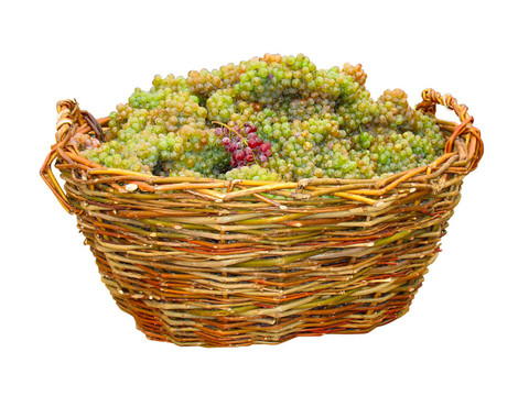 白葡萄篮中的绿色葡萄