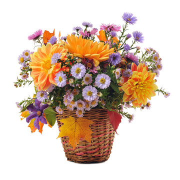 秋花花束