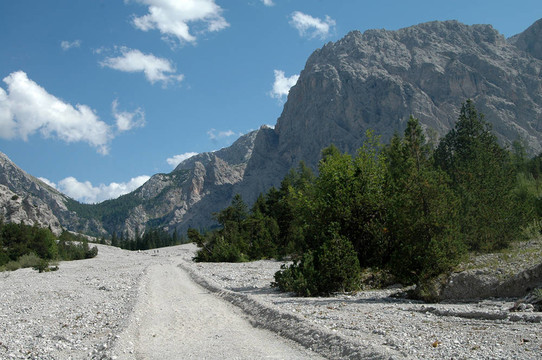 wimbachgries