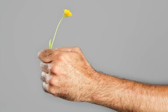 毛人手花的概念與對比