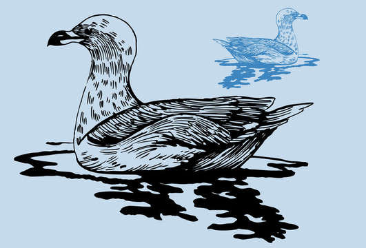 海鷗池