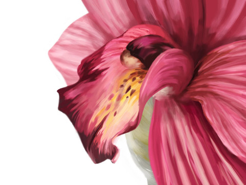 蘭花圖
