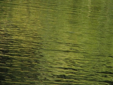 水