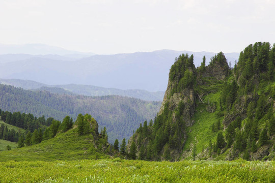 夏山景觀