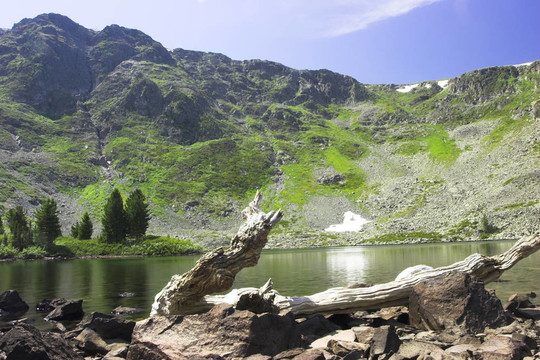 夏山景觀
