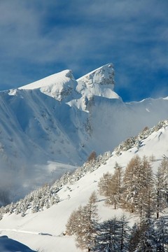 山