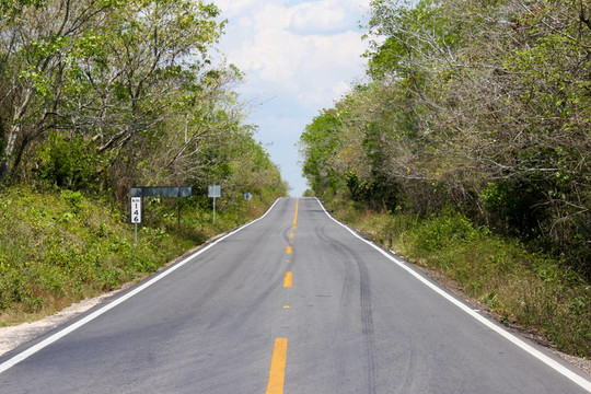 田間路