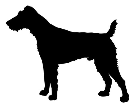 Fox Terrier的黑色剪影