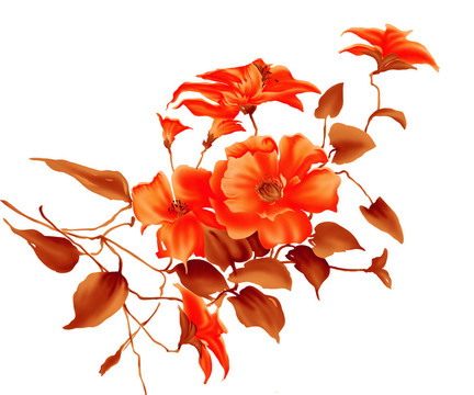紅色的花