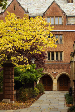 耶魯大學