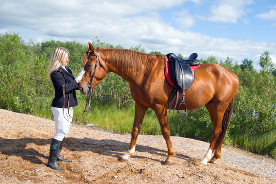 美丽的女孩和她英俊的马。
