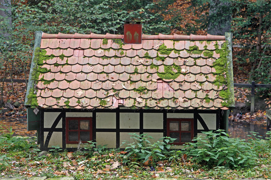 微型小屋鳥舍