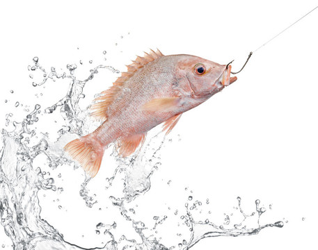 釣魚