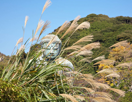 鐮倉的Great Buddha雕像