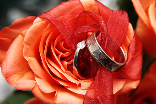 紅玫瑰上的結(jié)婚戒指