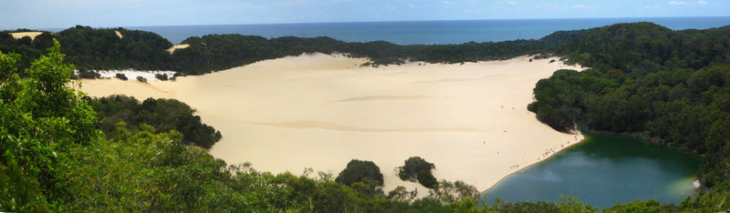 弗雷澤沙島澳大利亞湖wabby
