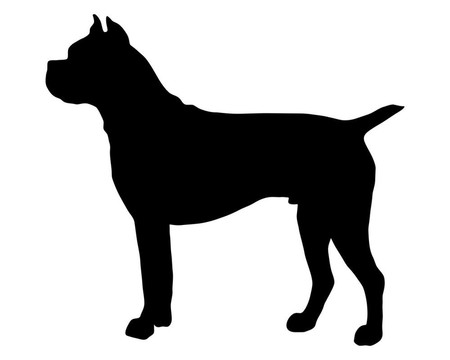 德國拳師犬的黑色剪影