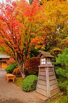 公園里的秋天