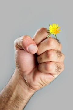 毛人手花的概念與對比