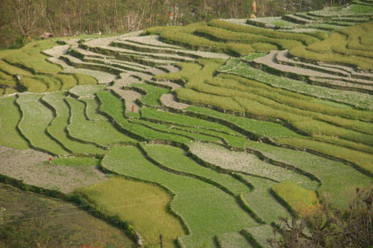 安納布爾納峰的跋涉