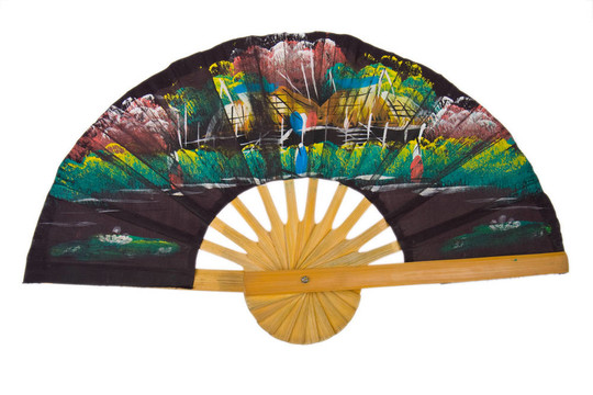 中國(guó)的粉絲