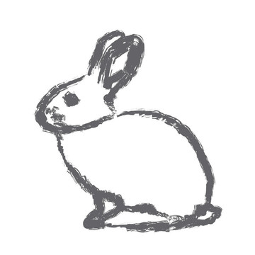 兔子
