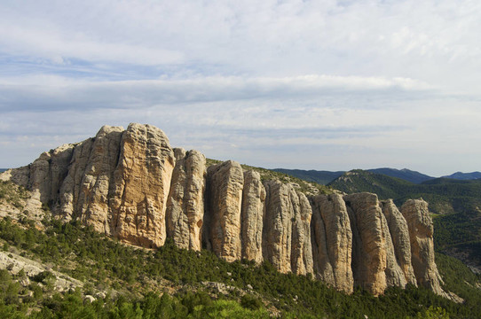山