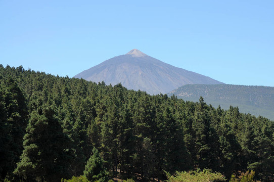 火山加那利群島的特內(nèi)里費(fèi)島；西班牙的Pico de Teide；