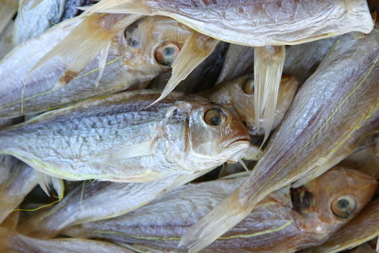 出售一堆干魚