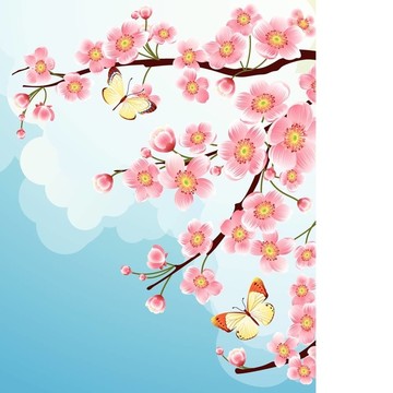 櫻花