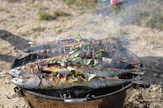 準(zhǔn)備烤的魚(yú)