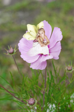 仙女坐在一朵花里。