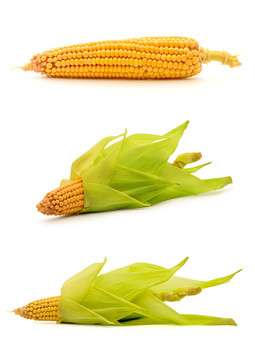 玉米