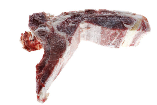 生豬肉中分離