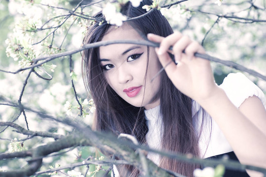 年輕女子與櫻花肖像