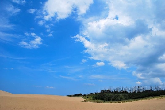 在炎熱干燥的沙漠中的綠洲